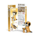 Meerkat Figurine | Meerkat Toy | Meerkat 3D Cardboard Model Kit - Completed Size 2.8in. L x 1.61in. W x 2.99in. H (sl105627)