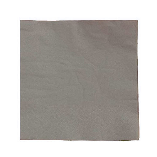 Silver Luncheon Napkins - 2 Ply - 20 Count (fdp95121)