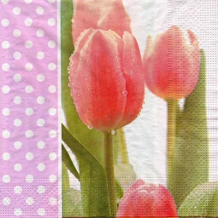 Easter Napkins | Tulip Napkins | Morning Dew Tulips Designer Luncheon Napkins - 16 Pieces/Pkg. (fdppo626)