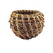 Coiled Basket Kit - Pine Needle - Quick Start - makes one 3in. Basket