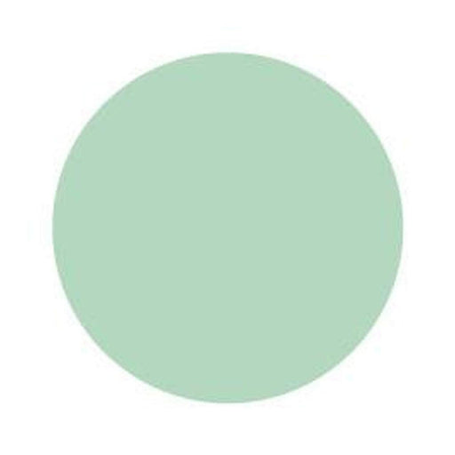 Tulle Circles - Mint - 9 Inch - Pack of 25 (gitulle9inmint)