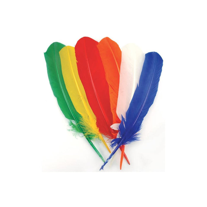Turkey Quills | Large Colored Feathers | Turkey Quill Feathers - Primary Colors - 13in. Long - 6 Pieces/Pkg. (nmb714trad)