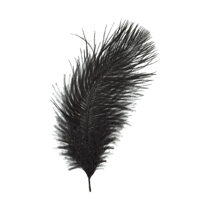 Ostrich Plume | Black Ostrich Feathers - 5in. to 9in. Long - 2 Pieces/Pkg. (nmb802bl)