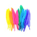 Colorful Duck Feathers | Costume Feathers | Bright Colored Duck Quill Feathers - 3in. - 24 Pieces/Pkg. (nmmd38367)