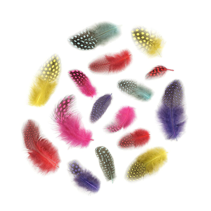Guinea Plumage Mix - Assorted - Dyed - Loose - Day Glo Mix (nmb352m)