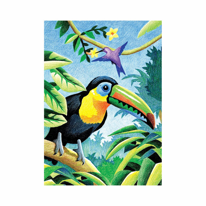 Mini Color Pencil by Number Kit - Tropical Birds - 5in. x 7in. (norcpnmin103)