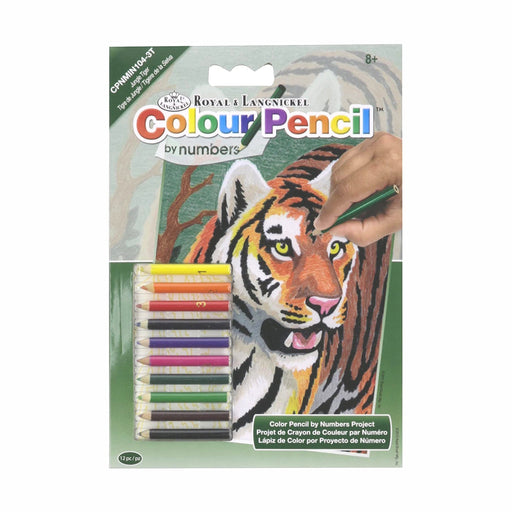 Mini Color Pencil by Number Kit - Jungle Tiger - 5in. x 7in. (nowcpnmin1043t)