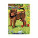 Mini Color Pencil By Number Kit - Puppy and Butterfly - 5in. x 7in. (norcpnmin1063t)