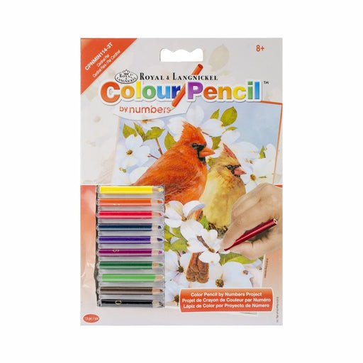 Cardinal Pair Mini Color Pencil by Number Kit - 5in. x 7in. (norcpnmin1143t)
