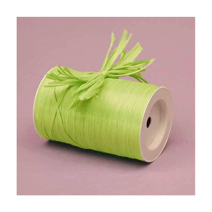 Lime Raffia Ribbon | Lime Green Bows | Colored Matte Raffia Ribbon - Lime - 1/4in. x 100 Yds (pm4434864)