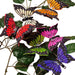 Swallowtail Butterfly | Butterfly Hair Clip | Swallowtail Butterfly Decor - Assorted Colors - 4 x 2 3/4in. - 12 Pieces/Pkg. (pm60910307)