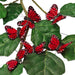 Fake Butterflies | Fake Monarch | Burgundy Feather Monarch Butterflies - 1 3/4in. - 12 Pieces/Pkg. (pm60911208)
