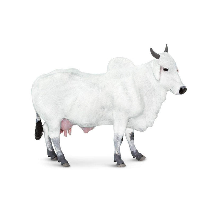 Toy Dairy Cow | Zebu Cattle | Ongole Cow Figurine - 5.12in. L x 1.73in. W x 3.62in. H - Hard Plastic - 1 Piece (sl100150)